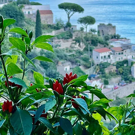Villa Nina