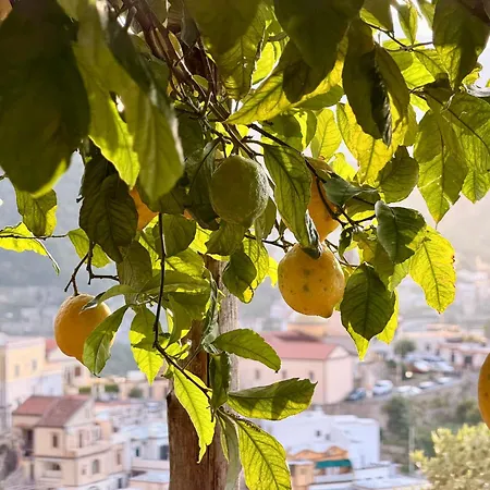Nina * Amalfi