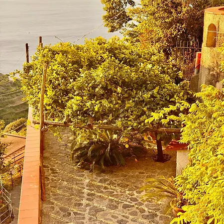 Villa Nina *
