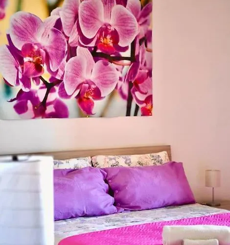 Nina アマルフィ