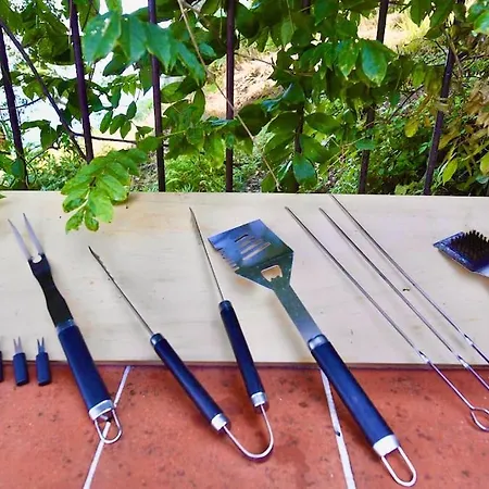 فيلة Nina أمالفي